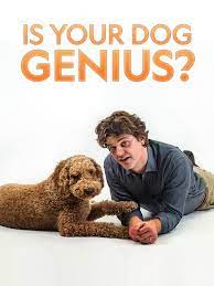 is your dog a genius