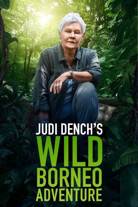 watch-judi-dench’s-wild-borneo-adventure-on-itv-player-in-australia