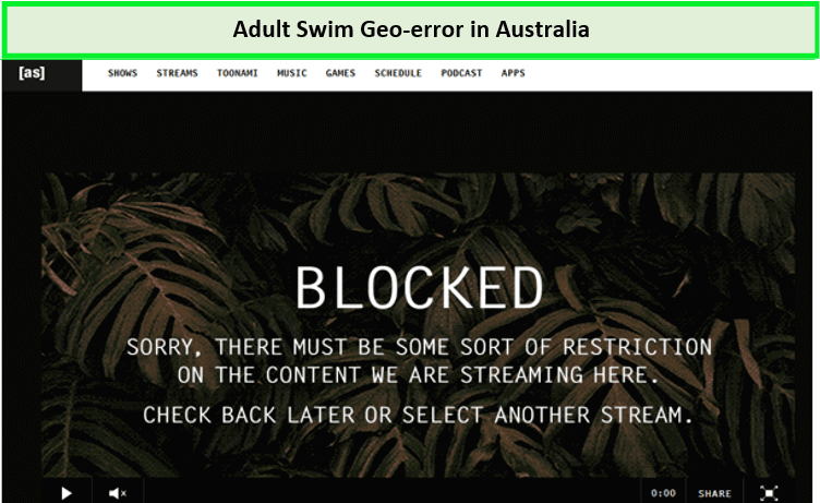 adult-swim-error-in-australia