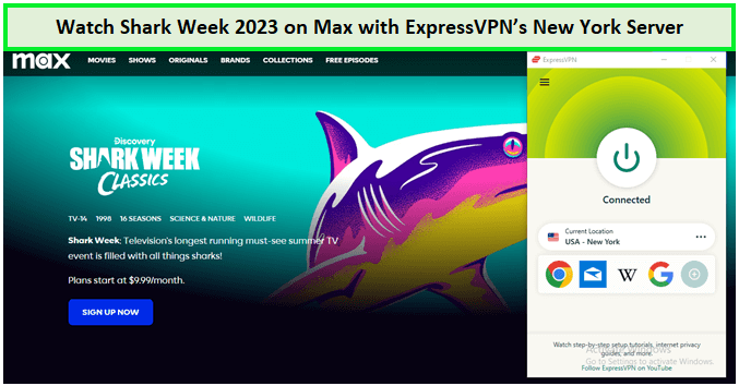 Watch-Shark-Week-2023-in-Australia-on-Max-with-ExpressVPN
